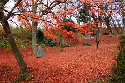 三春大神宮の自然