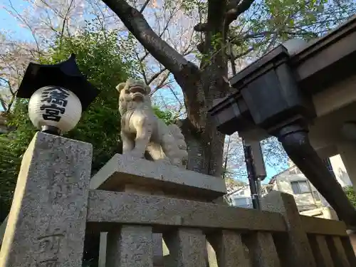 北野天満神社の狛犬