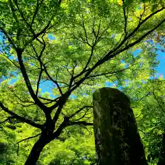 大洞院の建物その他