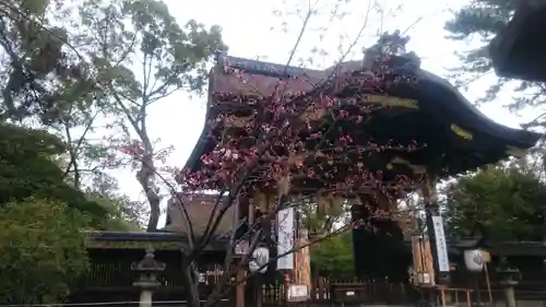 豊国神社の山門・神門