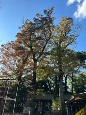 一言主神社(茨城県)