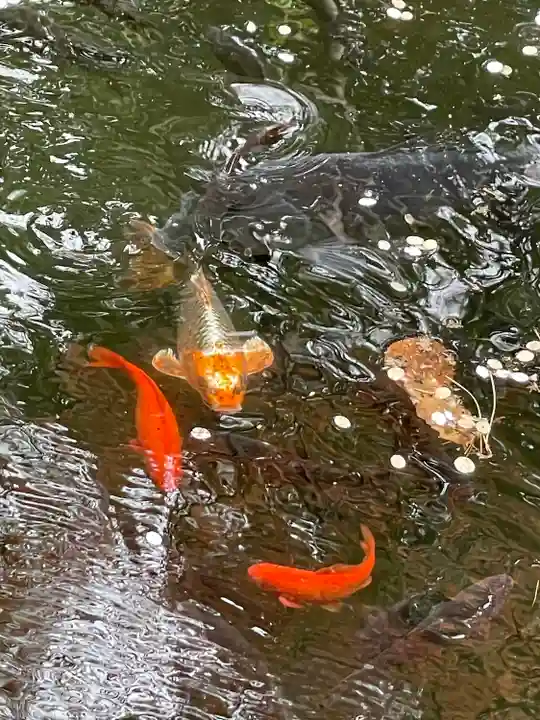 白石神社(北海道)