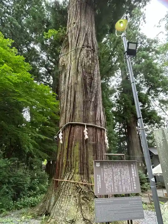 河口浅間神社(山梨県)