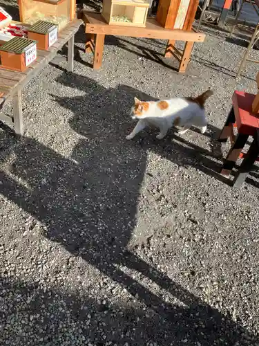 今市報徳二宮神社(栃木県)