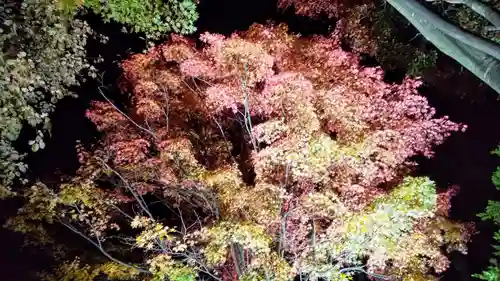 北広島市総鎮守　廣島神社の自然