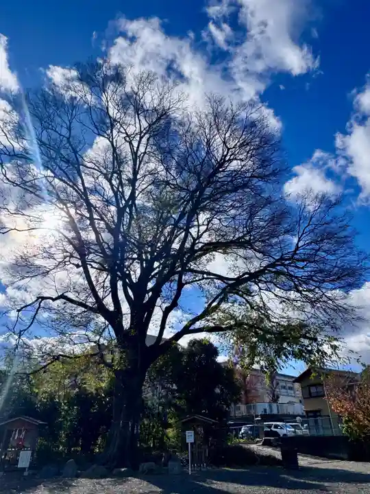 石坐神社(滋賀県)