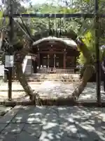 御田八幡神社の本殿・本堂