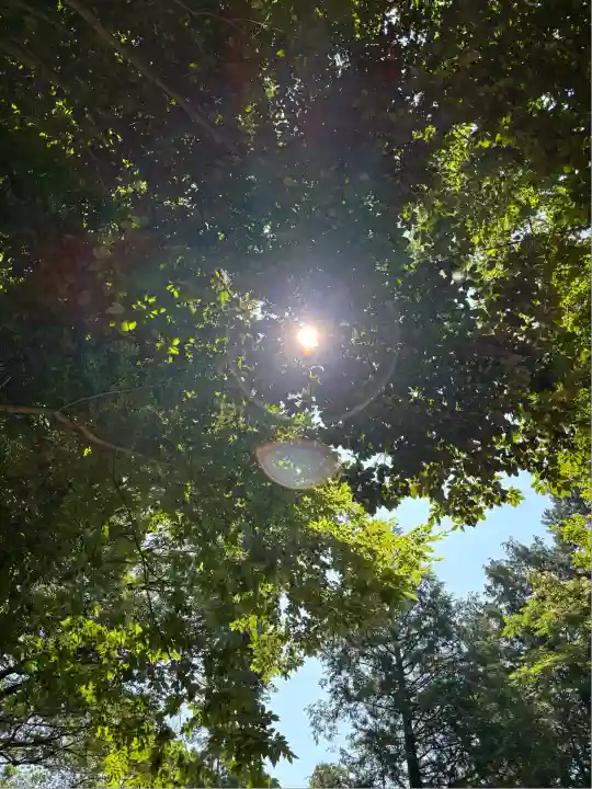 サムハラ神社 奥の宮(岡山県)