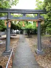 朝宮神社の鳥居