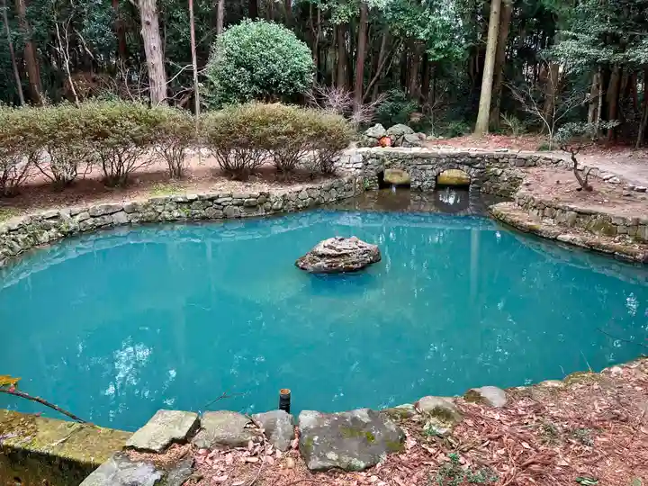 大麻比古神社(徳島県)