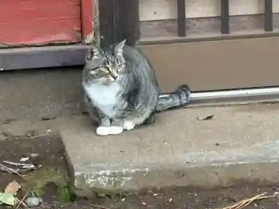 前原御嶽神社(千葉県)