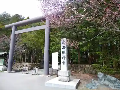北海道神宮の鳥居