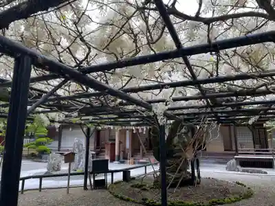 総持院(和歌山県)