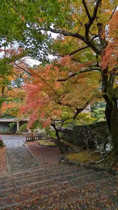 安楽寺(京都府)