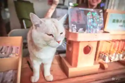 鼬幣稲荷神社(岩手県)