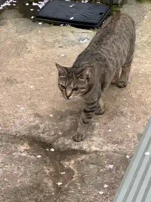王子神社(徳島県)