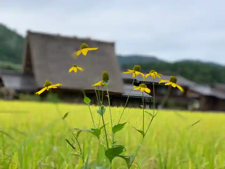 松原山 明善寺の自然
