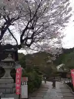 大豊神社(京都府)