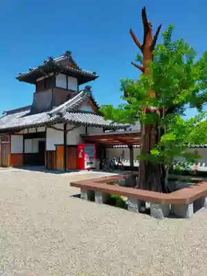 浄照寺(奈良県)