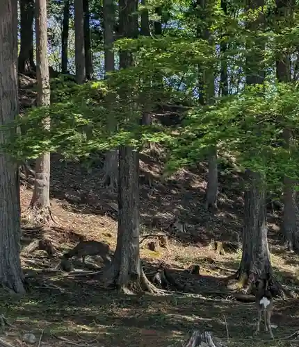 三峯神社(埼玉県)