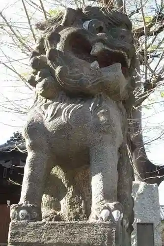 滝野川八幡神社の狛犬