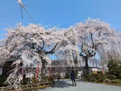 身照寺(岩手県)
