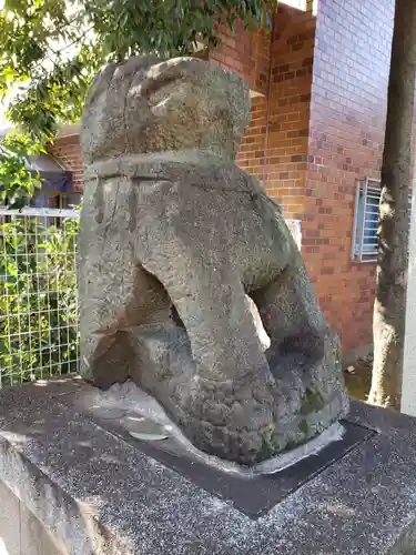 穏田神社の狛犬