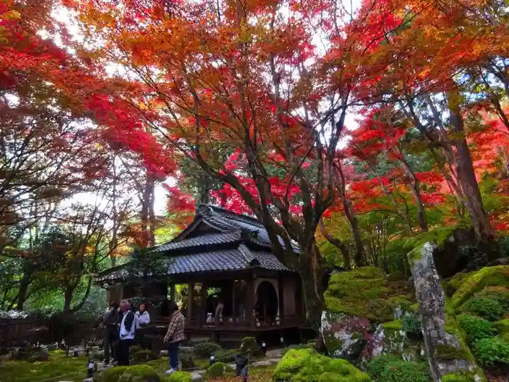 教林坊(滋賀県)