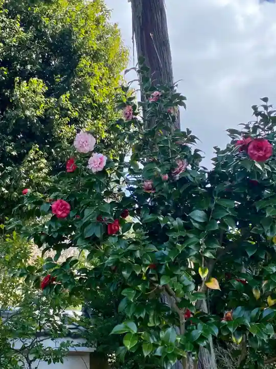 一華院(京都府)