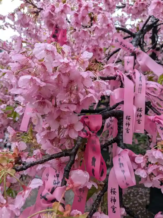 桜神宮(東京都)