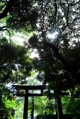 明治神宮(東京都)