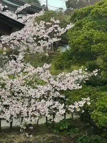 建長寺(神奈川県)