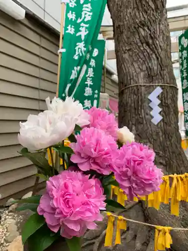 少彦名神社の自然