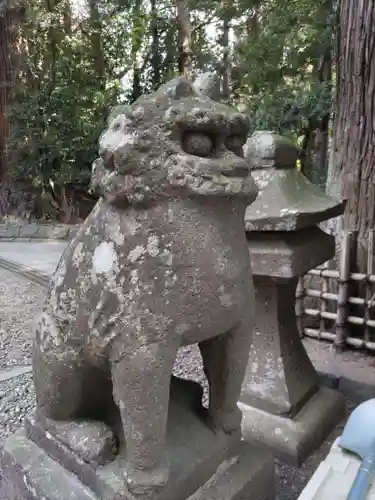 大崎八幡宮の狛犬