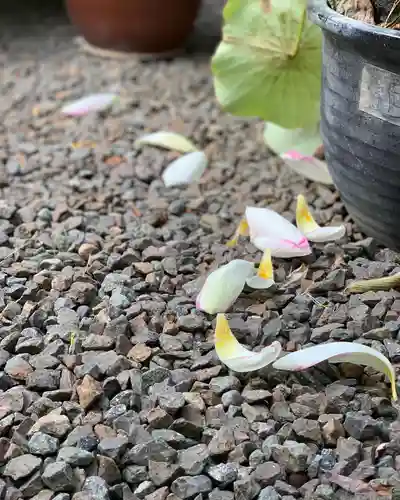 上行寺(静岡県)