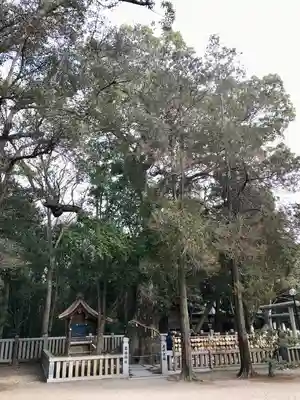 伊弉諾神宮(兵庫県)