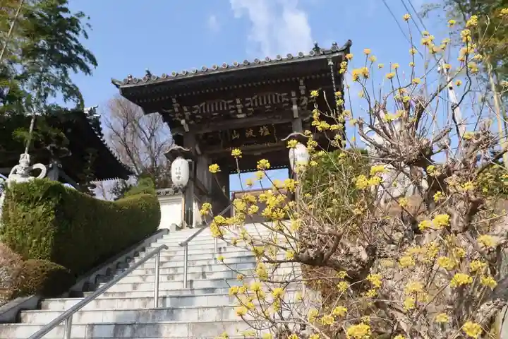 日輪寺の山門・神門