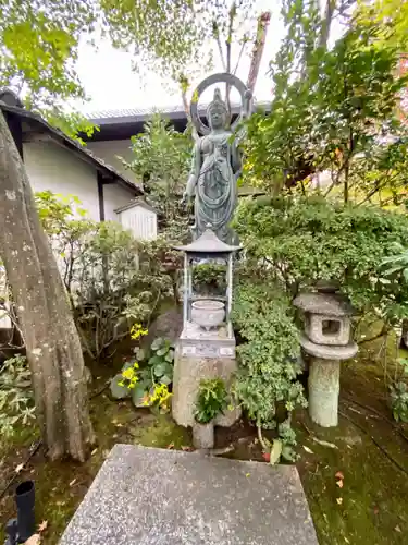 退蔵院(京都府)
