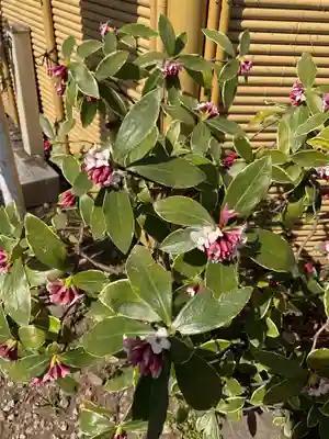 蛇窪神社(東京都)