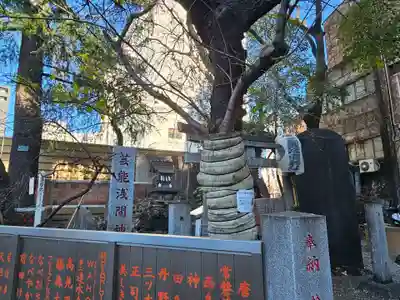 花園神社(東京都)