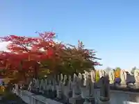 極楽山 浄土寺の仏像