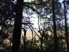 御嶽神社/駒形神社の自然