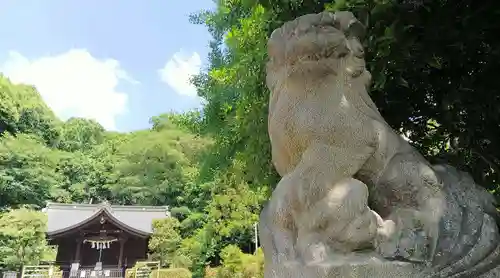 武州白子熊野神社の狛犬