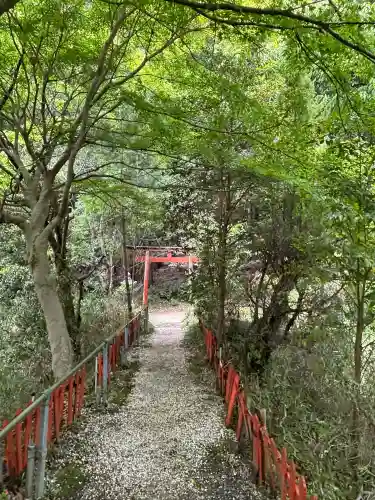 大神神社の{uncategorized: "未分類", other: "その他", undefined: "問題あり", building: "その他建物", grave: "お墓", sacred_gate: "鳥居", guardian: "狛犬", statue: "像", buddha: "仏像", history: "歴史", nature: "自然", garden: "庭園", animal: "動物", pagoda: "塔", temizu: "手水舎", mountain_gate: "山門・神門", sanctuary: "本殿・本堂", subordinate: "末社・摂社", art: "芸術", scenery: "景色", jizo: "地蔵", ema: "絵馬", goshuin: "御朱印", omikuji: "おみくじ", items: "授与品その他", amulet: "お守り", goshuincho: "御朱印帳", eats: "食事", festival: "お祭り", votive_dance: "神楽", shichigosan: "七五三参", wedding: "結婚式", experience: "体験その他", initially: "初詣", around: "周辺", anti_infection: "感染症対策"}