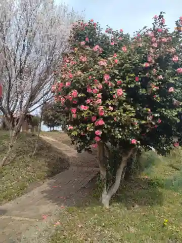 白九頭龍古墳(宮城県)