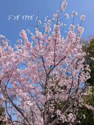 潮田神社(神奈川県)