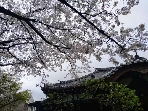 厳浄院(東京都)