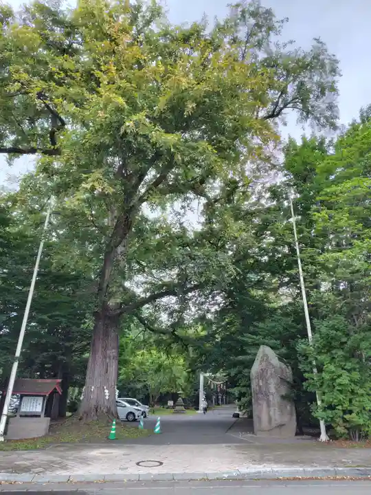 音更神社の自然