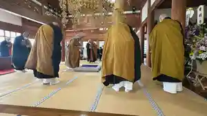 光明寺(静岡県)(2024年04月02日(火) 21時01分24秒投稿)