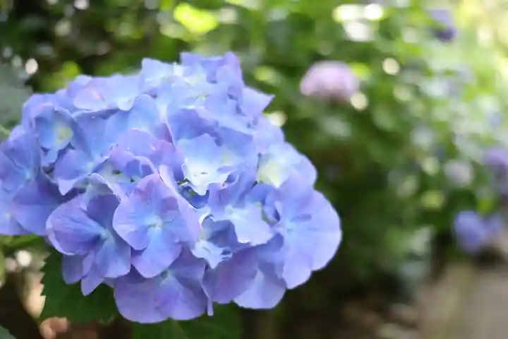 太平山神社(栃木県)